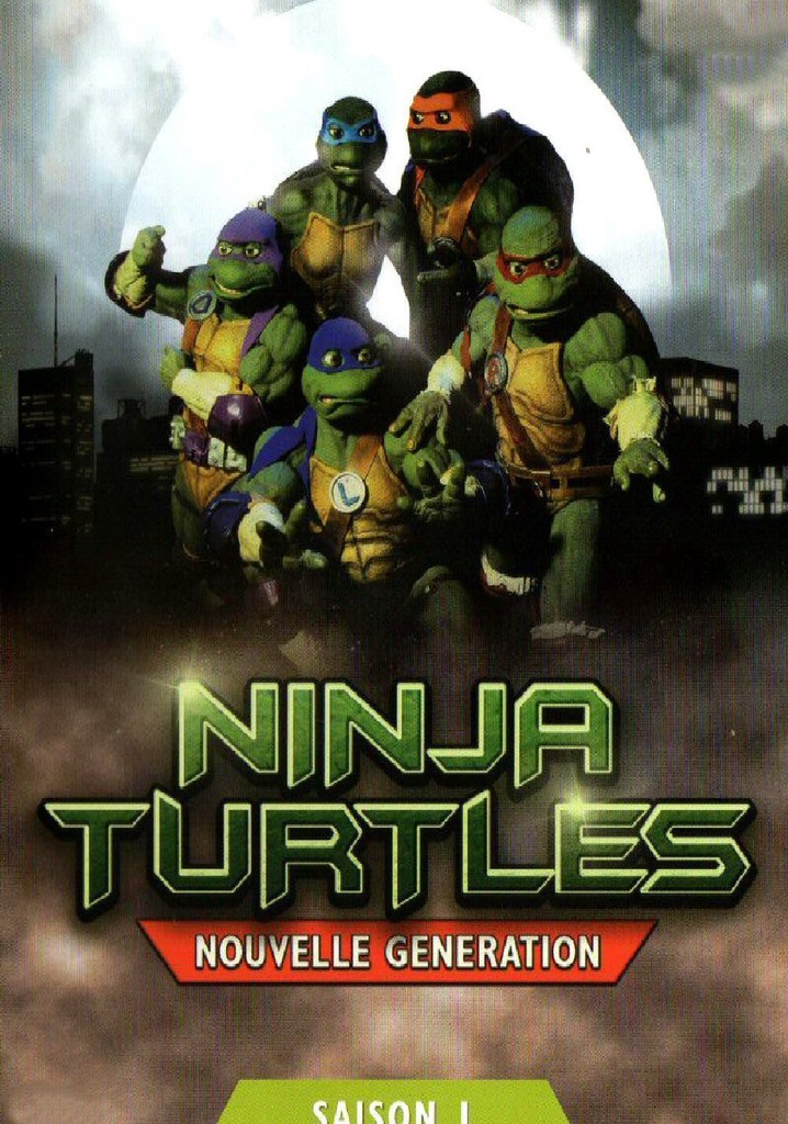 Tortues ninja, La nouvelle génération streaming